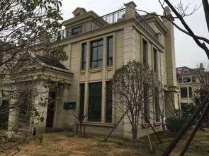 梅山湾书院最新丑闻爆料,揭秘教育界的黑暗面  第2张