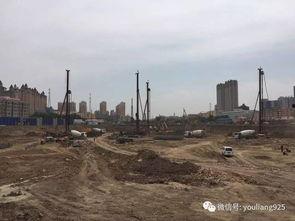 哈尔滨江边爆料案件最新,真相揭开，疑云散去  第3张